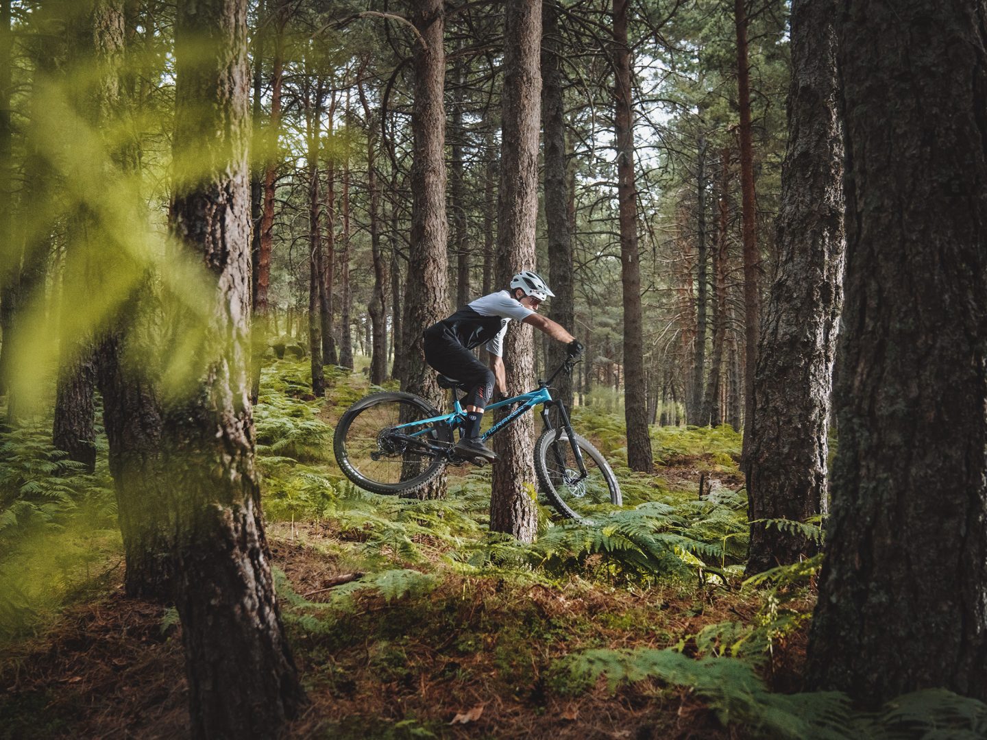 TOUR ALLMOUNTAIN